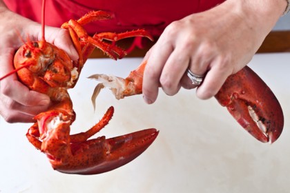 9 Fakta Unik Lobster yang Jarang Didengar, Tak Semewah Sekarang