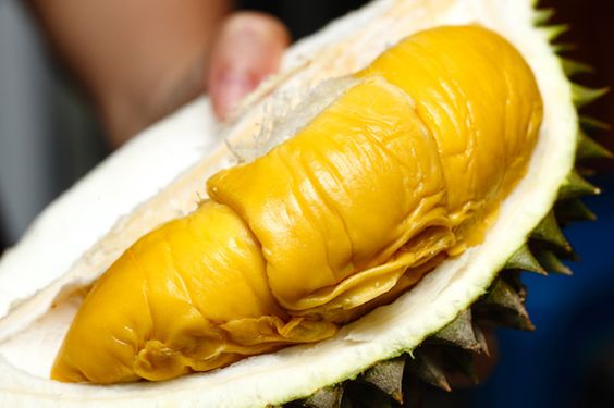 Download 8800 Koleksi Gambar Durian Kuning Paling Bagus 