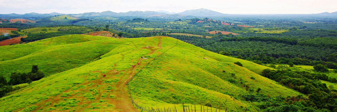 7 Bukit Teletubbies Paling Epic di Indonesia, Sudah Pernah ke Sini?