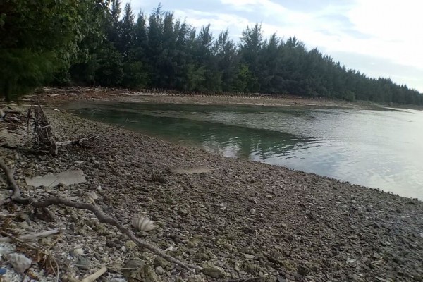 Menengok Pulau Panjang Raksasa Tidur Di Utara Jakarta