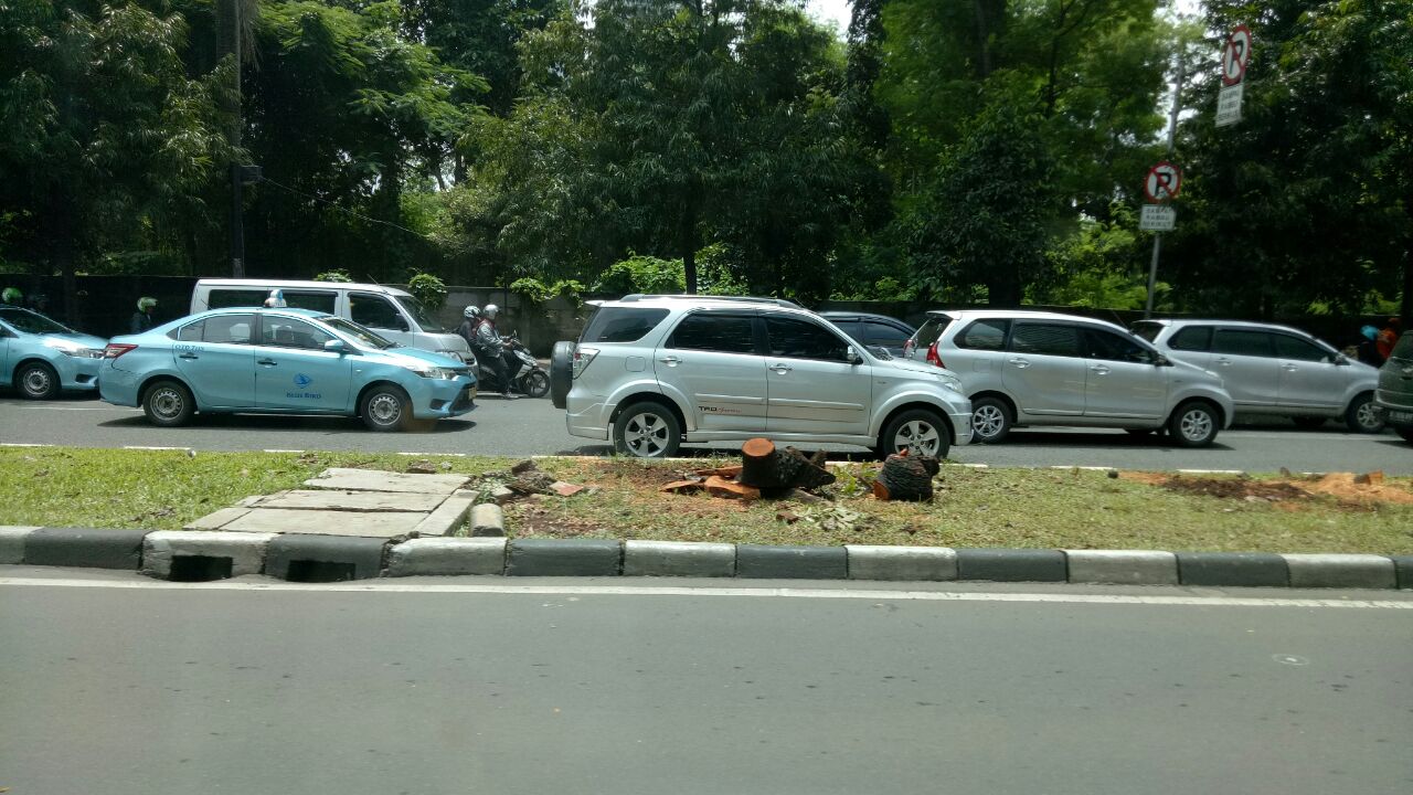 Penataan Trotoar Sudirman Thamrin Korbankan Pohon Begini Penjelasan Sandiaga 9662