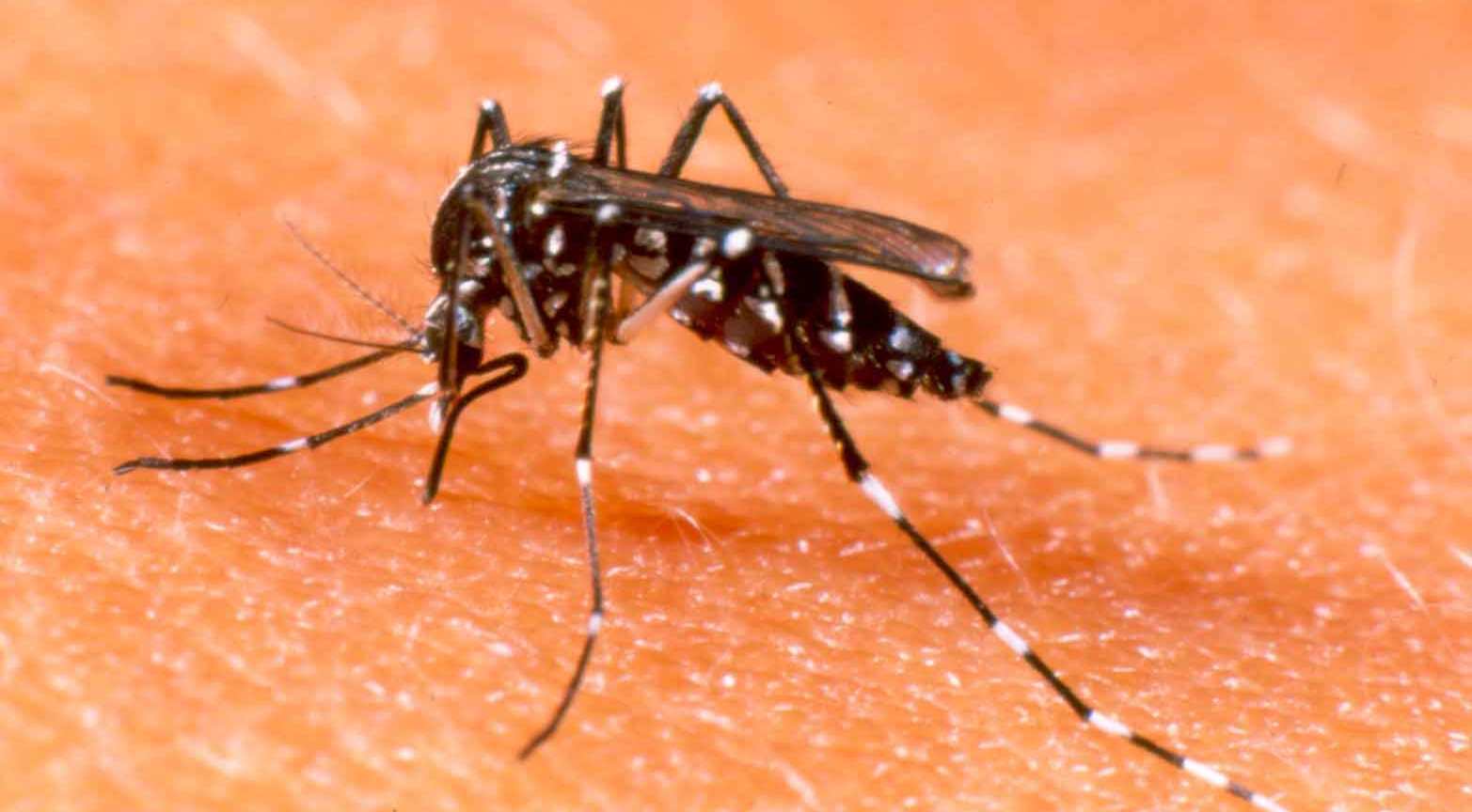 Ribuan Kelambu Dibagikan untuk Antisipasi Penyebaran Malaria di PPU