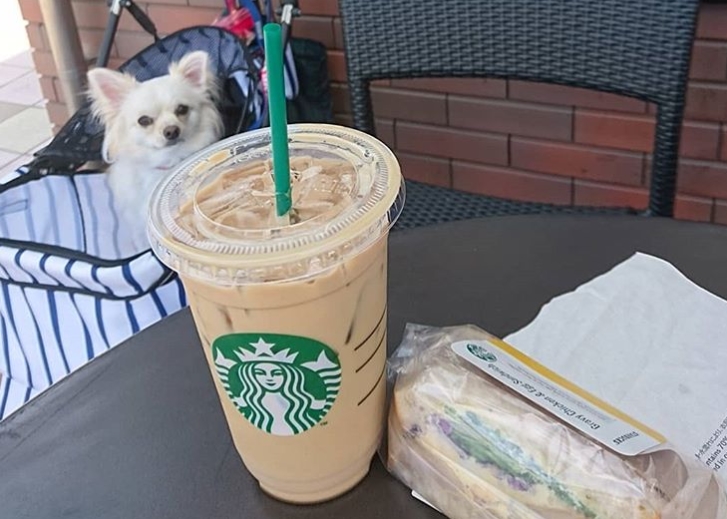 7 Trik Hemat Ngopi di Starbucks, Sudah Pernah Coba 