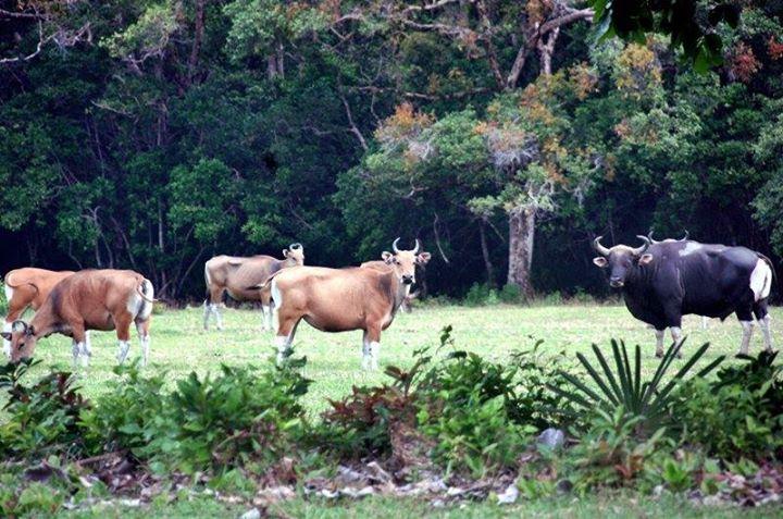 Seru, Ini 7 Wisata di Banten yang Asyik buat Liburan Long Weekend