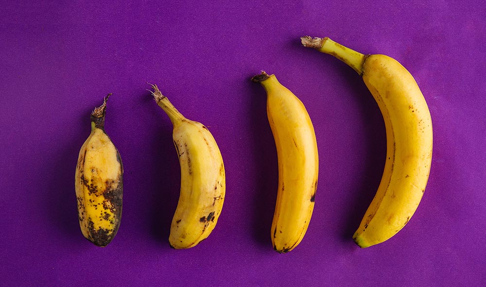 8 Mitos Penis Ini