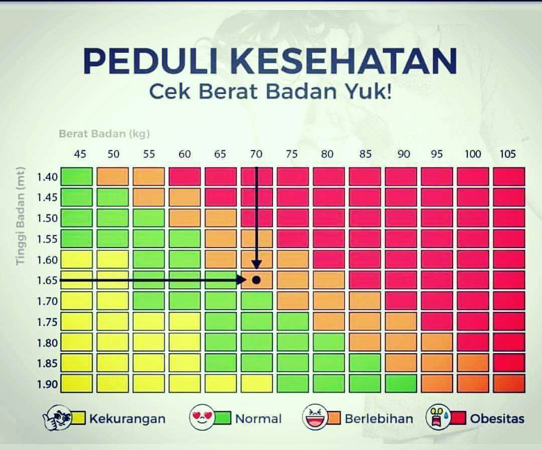 Raisa Mantan Terindah Kepala Humas Bnpb Sutopo