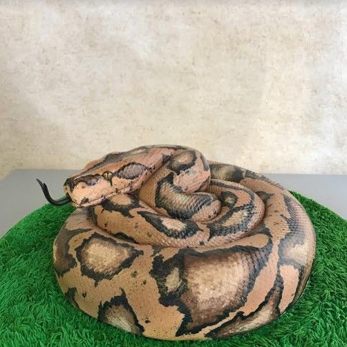 Download 6600 Gambar Animasi Kue Ulang Tahun Hitam Putih HD Free Download 6600 Gambar Animasi Kue Ulang Tahun Hitam Putih HD Free