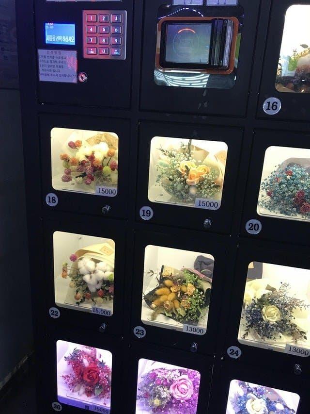 15 Vending Machine Paling Anti Mainstream di Dunia, Canggih atau Aneh?