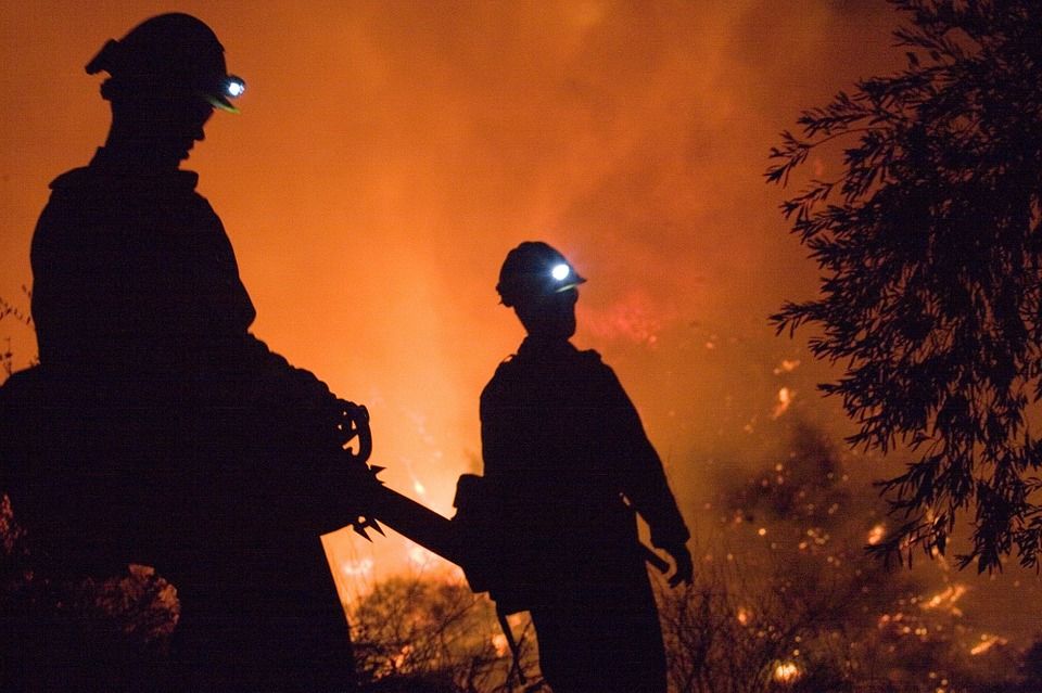 Hutan Lereng Gunung Agung Terbakar, Baru Pagi Ini Akan Dipadamkan