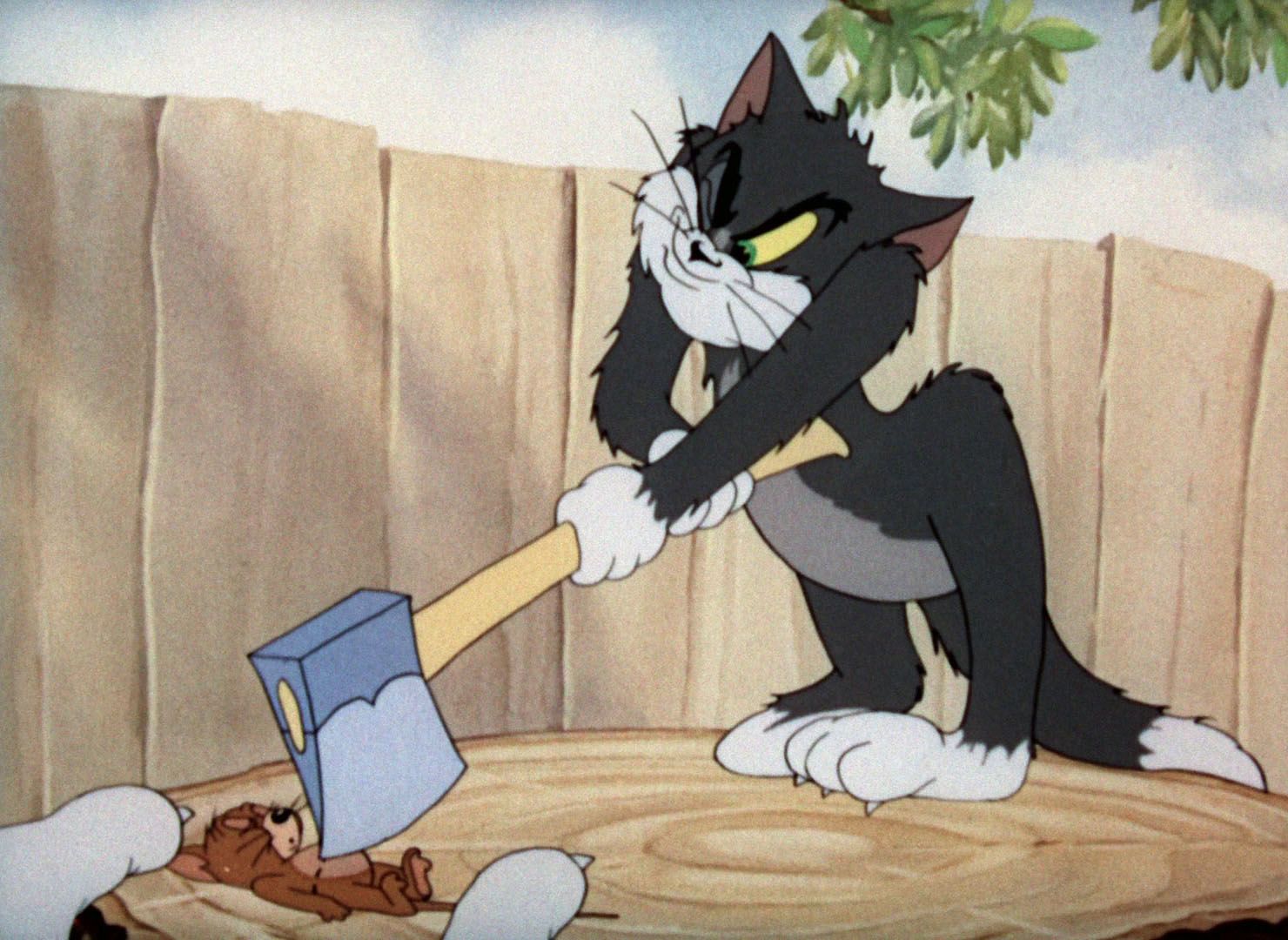 78 Tahun Tom And Jerry 12 Fakta Unik Yang Banyak Orang Gak Tahu