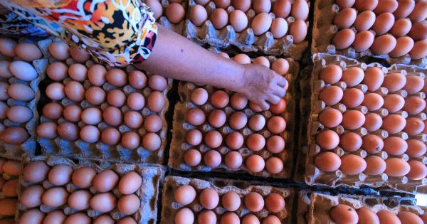 Harga Daging Ayam hingga Telur di Sleman Alami Kenaikan