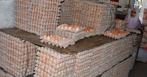 Permintaan Daging Melonjak, Pemkot Bandung Kejar Produsen ke Ciamis