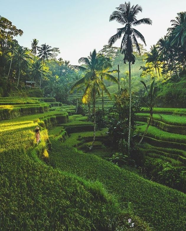 20 Tempat Wisata di Bali Terbaru 2018, Liburan ala Anak Hits