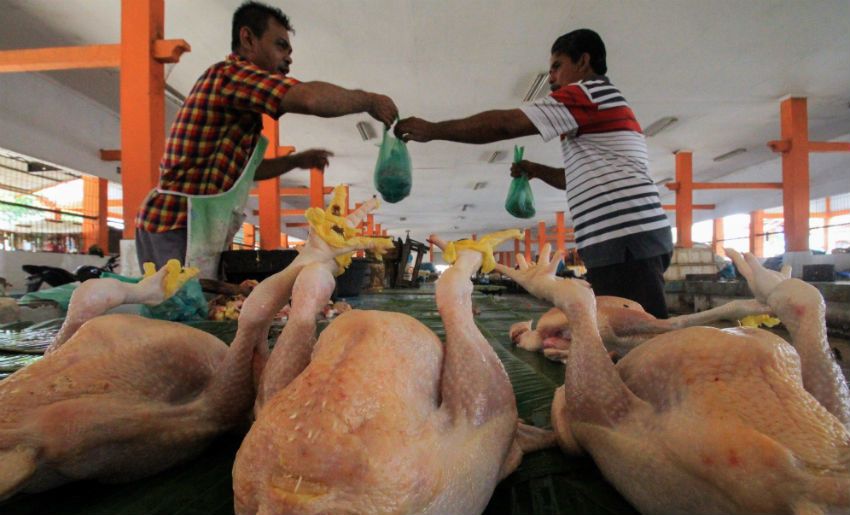Awal Ramadan, Harga Daging Ayam di Pasaran Masih Stabil