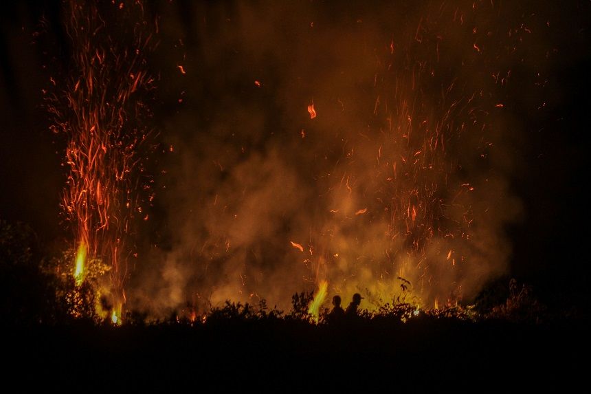 Kebakaran Hutan dan Lahan di 2019, BNPB: Solusinya Harus Permanen 