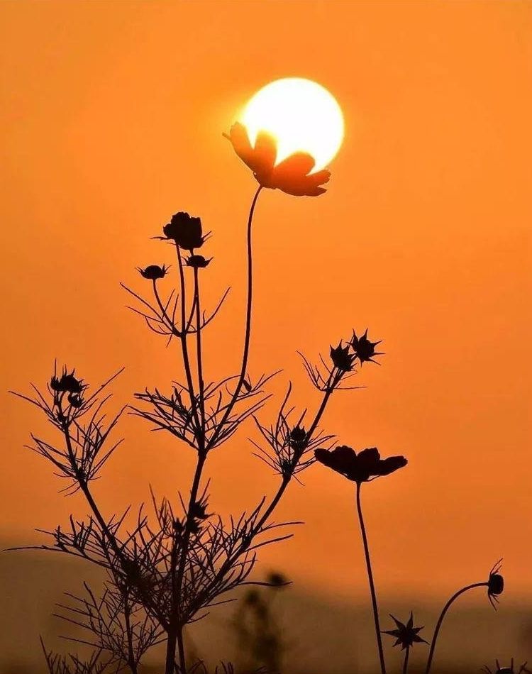 10 Foto Sunset Unik Yang Bikin Feed Instagram Makin Keren