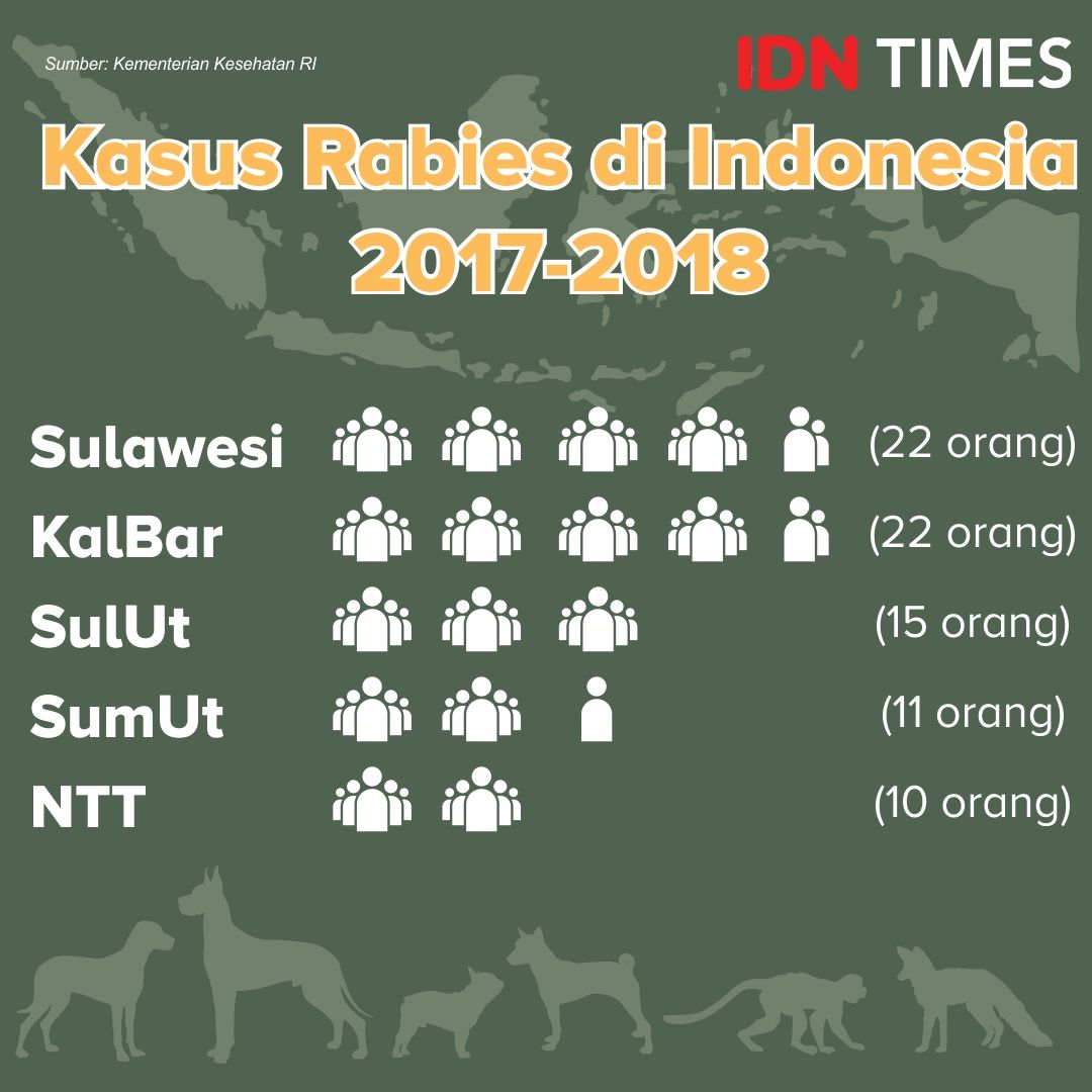 Waduh! Kucing Milik Warga Gunungpati Semarang Terindikasi Rabies, Begini Cirinya