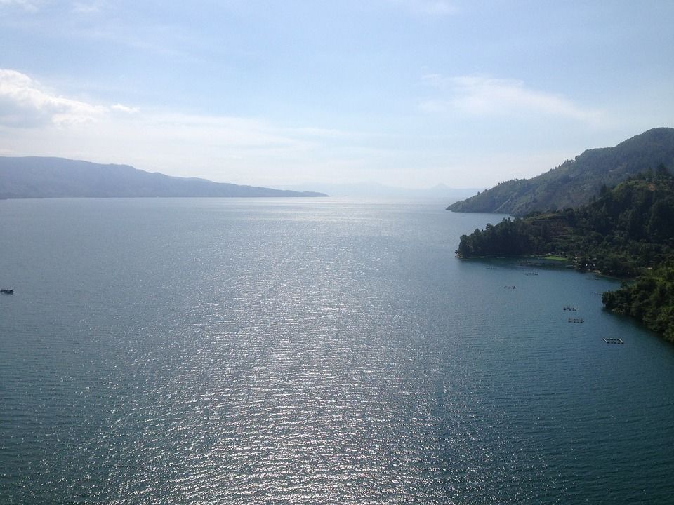 3 Penyebab Mengapa 200 Ton Ikan Mati di Danau Toba Tahun Ini