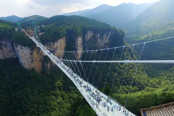 8 Jembatan Unik Yang Punya Pemandangan Paling Mengagumkan Di
