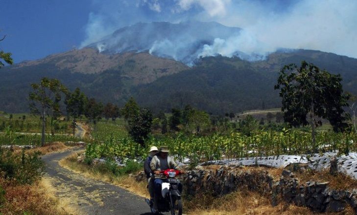 Kebakaran di Lereng Gunung Sumbing, Semua Jalur Pendakian Ditutup