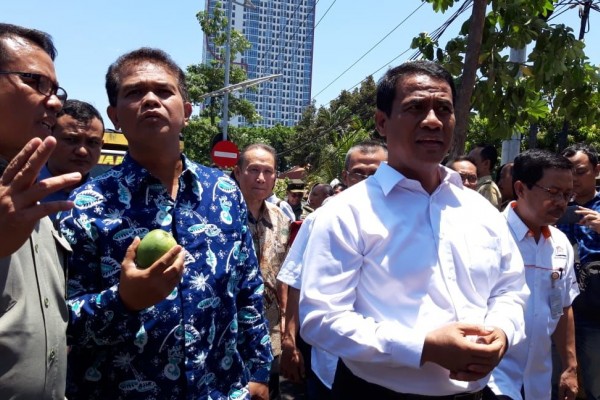 Perdana! Mangga Jawa Timur Tembus Pasar Singapura dan Malaysia