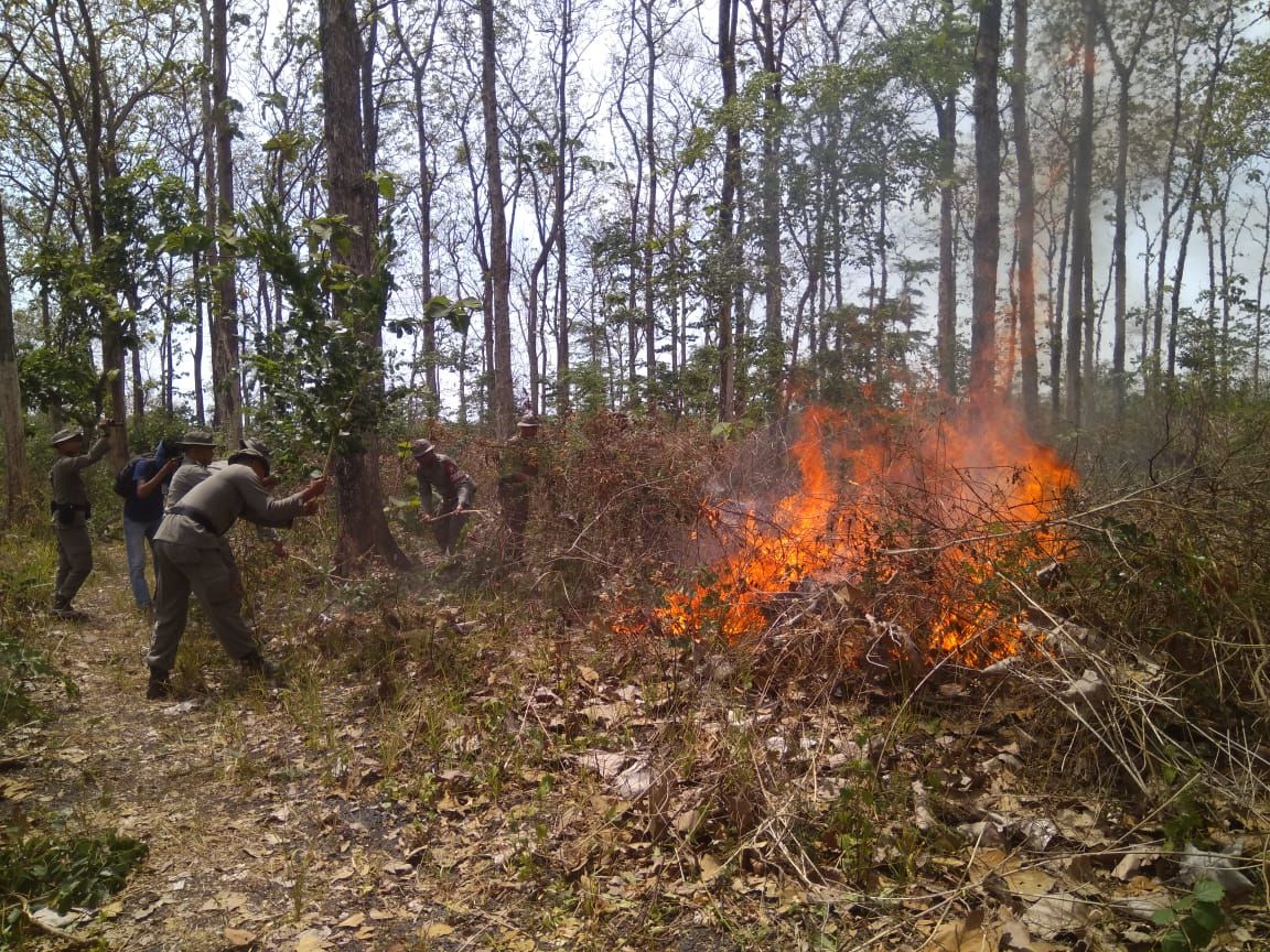Kemarau, Brimob Jatim Siap Terlibat Padamkan Kebakaran Hutan