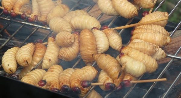 Pernah Coba 7 Kuliner Khas Indonesia yang Terbuat dari Serangga