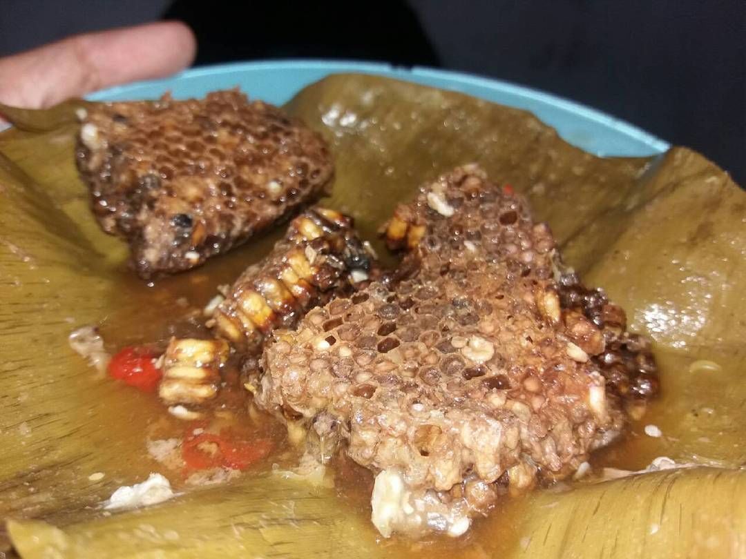 Pernah Coba 7 Kuliner Khas Indonesia yang Terbuat dari Serangga