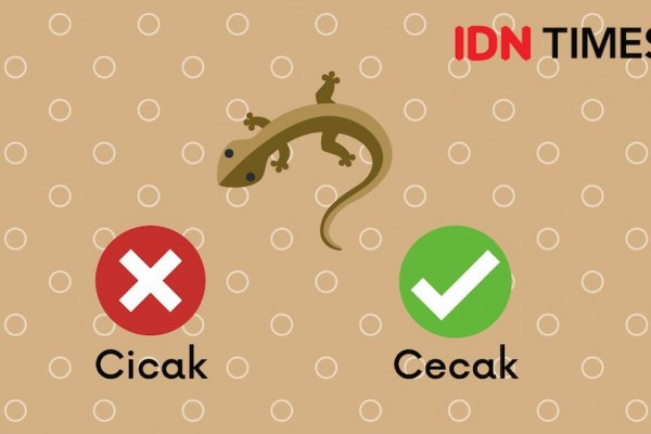 10 Kata Bahasa Indonesia yang Benar Tapi Terlalu Sering Salah Tulis
