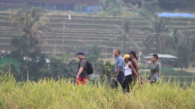 5 Fakta Mengagumkan Desa Jatiluwih Bali, Barack Obama Sampai Terpikat