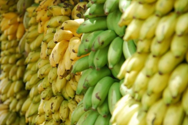 12 Bukti Pisang Sangat Bermanfaat untuk Kesehatan, Ayo Makan Tiap Hari