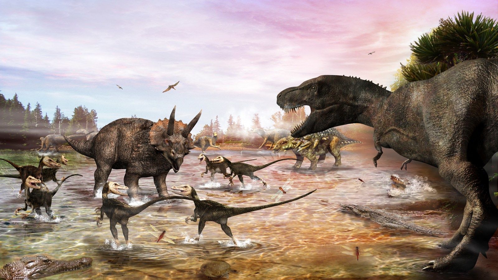 Gambar Lucu Qurban Dinosaurus Pambabomacom