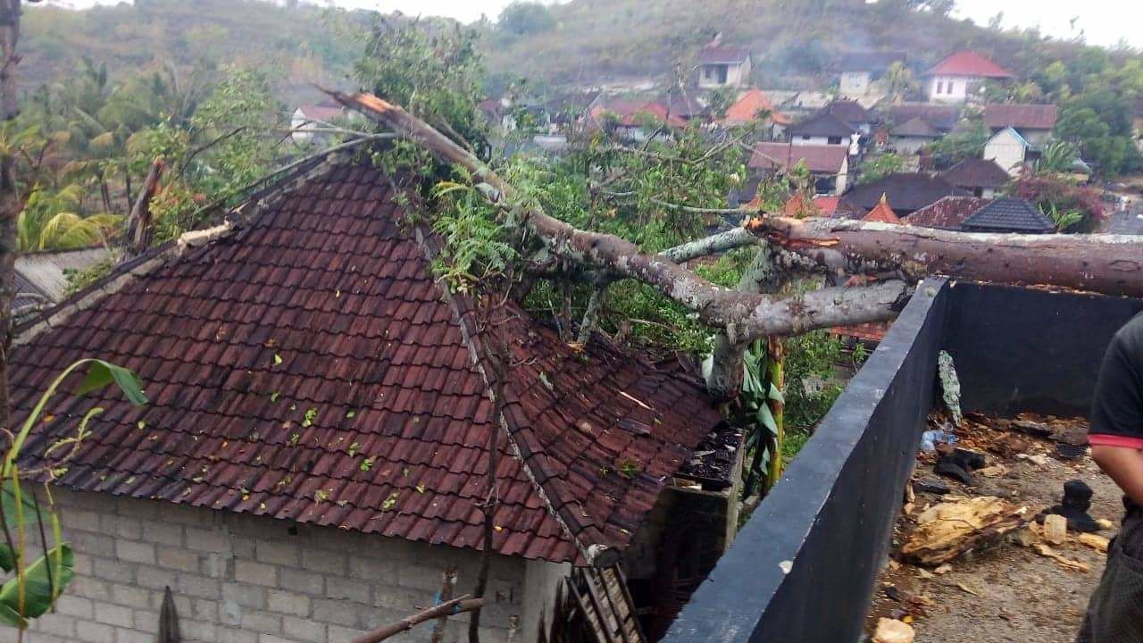 BMKG: Waspada Aliran Lahar Hujan di Karangasem & Pohon Tumbang