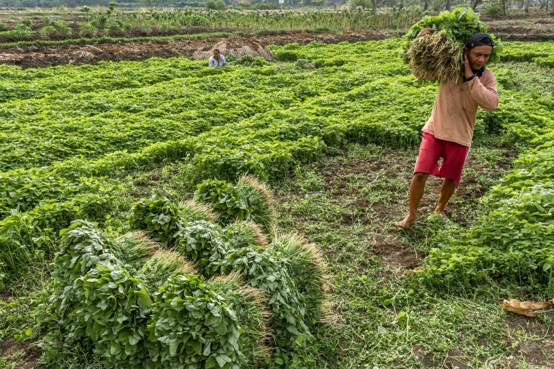 Siasat Agro Jabar Jadikan Sektor Pertanian Tetap Dilirik Millennial