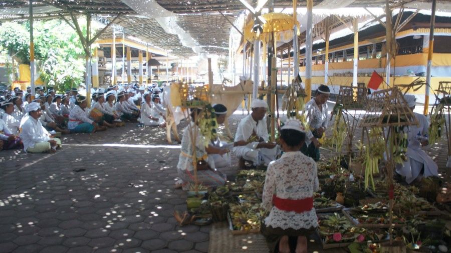 IDN Times Diharapkan Mau Gali Kondisi Pertanian di Bali Lebih Dalam