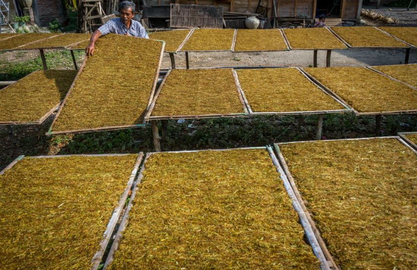 Tahun Depan, 2.000 Pekerja Pabrik Rokok di Jatim Terancam PHK