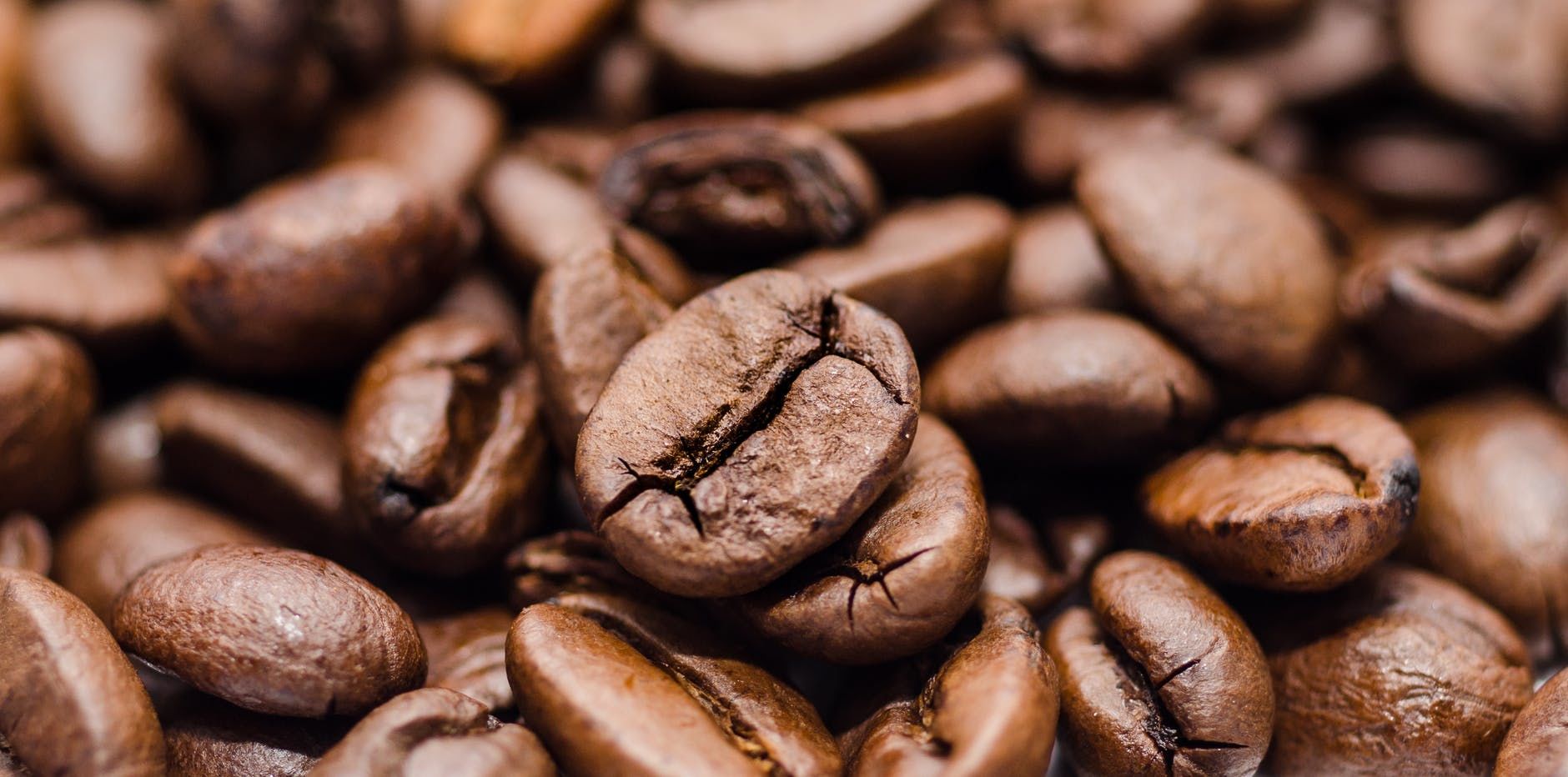Ingin Lepas dari Tengkulak, Petani kopi Kalibaru Buat Produk Sendiri