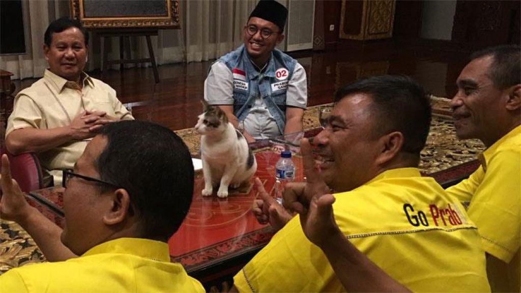 Cute Abis! Inilah 11 Momen Kebersamaan Prabowo & Kucing Kesayangannya