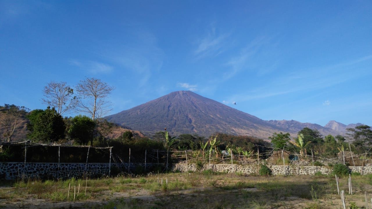 205 Hektare Kawasan Gunung Rinjani Lombok Hangus Terbakar