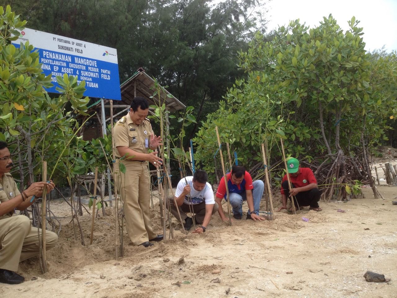 Cegah Abrasi di Pantai Utara Jawa, Mangrove Center Tanam 4.000 Pohon