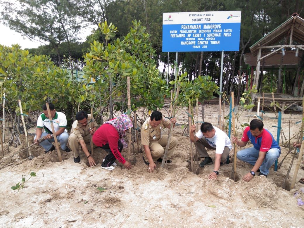 Cegah Abrasi di Pantai Utara Jawa, Mangrove Center Tanam 4.000 Pohon