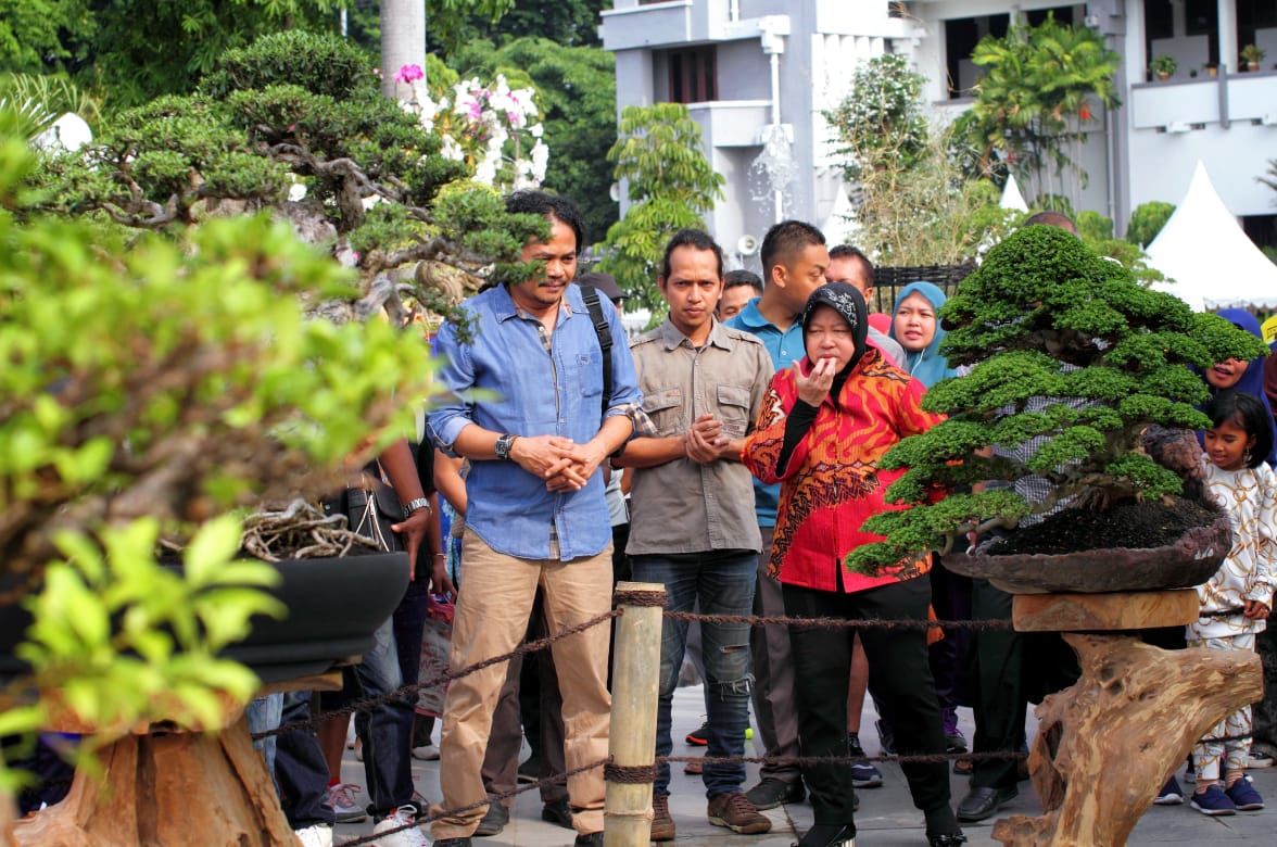 Wow! Ada Pohon Bonsai Seharga Rp1 Miliar di Taman Surya Kota Surabaya