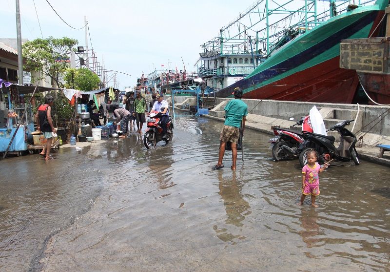 Gelombang Kelvin Terjang Laut Jawa, Kampung Nelayan Jateng Terendam Banjir