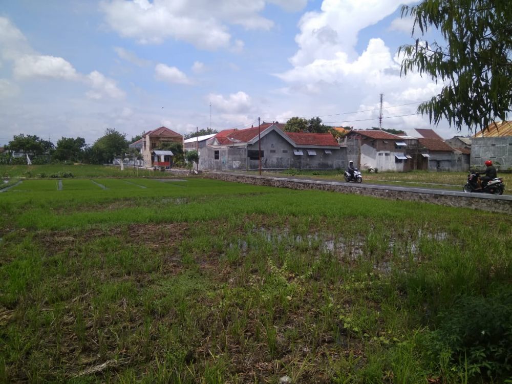 Lahan Terus Menyusut, Kota Madiun Andalkan Beras dari Daerah Tetangga