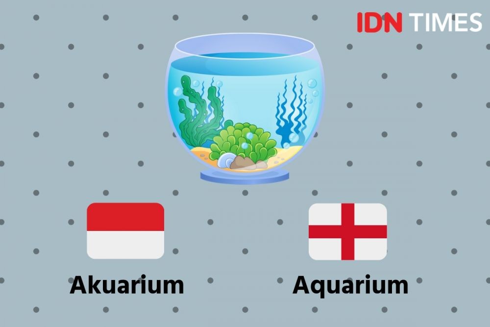 Mudah Dihafal, 10 Kata Indonesia Ini Serupa dengan Bahasa Inggris