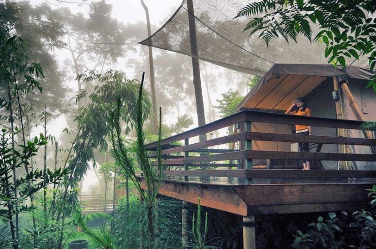 10 Tempat Wisata Asyik di Bogor, Cocok untuk Liburan Akhir Tahun