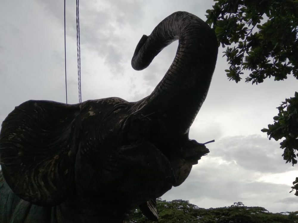 Gajah Kesepian di Sudut Losari, Saksi Bisu Makassar Dekade 1980-an