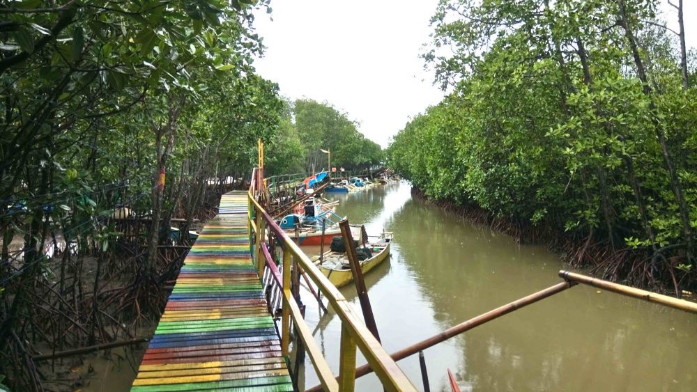 Mangrove Lantebung Makassar, Destinasi Wisata Penunjang Lingkungan