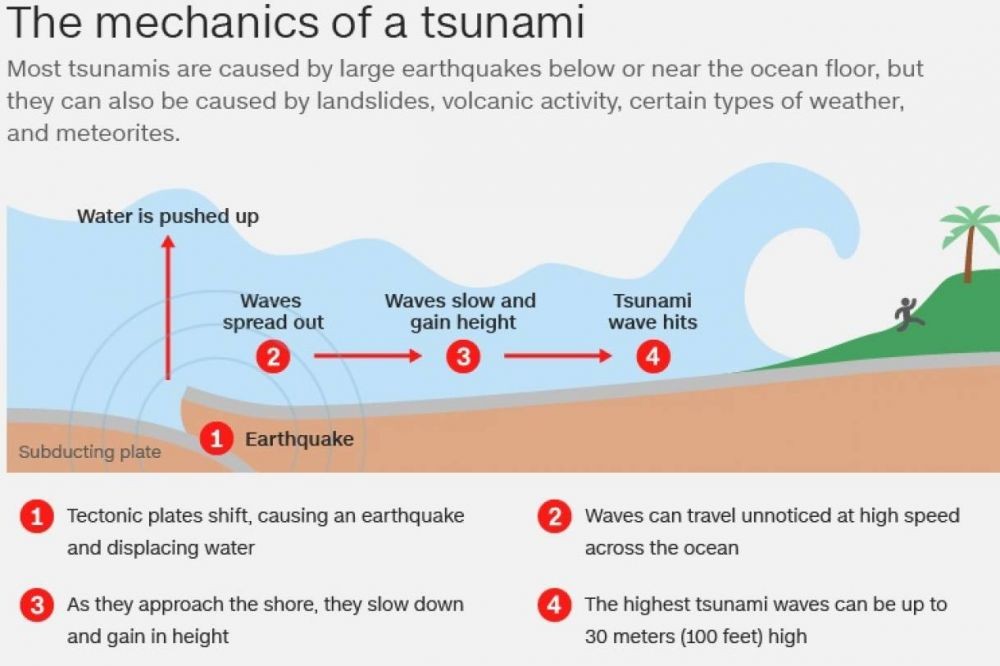Tsunami Pengertian Proses Tanda Penyebab Dampak | My XXX Hot Girl