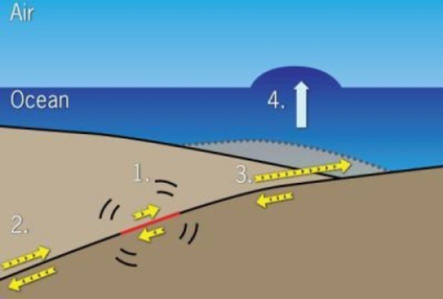 Ombaknya Bisa Mematikan, 4 Pemicu Utama Munculnya Tsunami